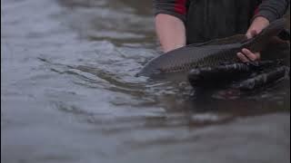 5538262-hd_1920_1080_25fps