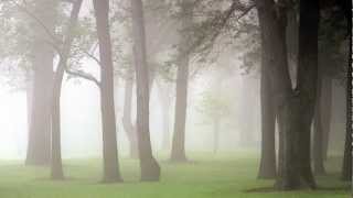 #7 The Stages of Creation and Development - Seasons of Life with Marj Britt