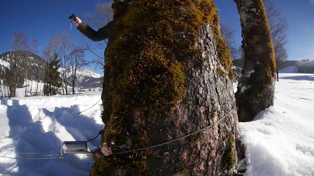 VR Video 360 4K 3D Winter Hiking & crosscountry skiing St. Jakob Tirol