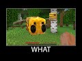 Minecraft wait what meme part 74 realistic minecraft Bee Honey