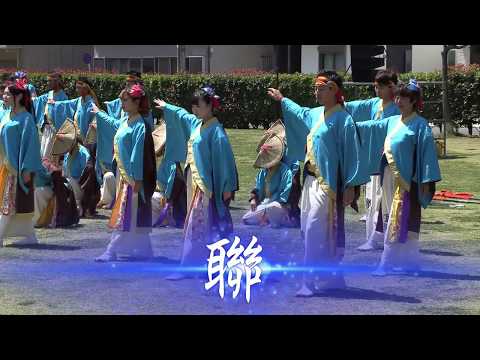 湘南よさこい祭り2018　「聯」