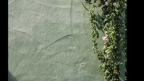 مقطع من سورة  آل عمران بصوت فضيلة الشيخ عبدالرحمن بن علي المرشود(أبو عمر)من صلاة التراويح لعام ١٤٤٣