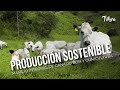 Producción sostenible: manejo integral de ganado BON y cunicultura - TvAgro por Juan Gonzalo Angel