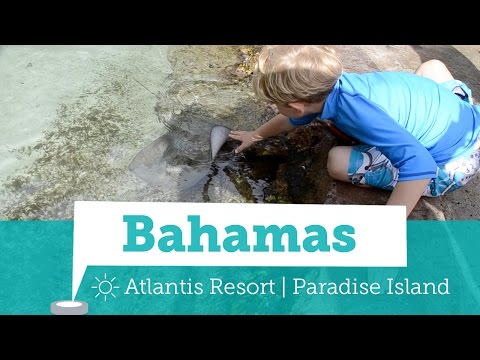 Bahamas - Atlantis Resort - Raias, tartarugas e mais diversão - Viagens em Família