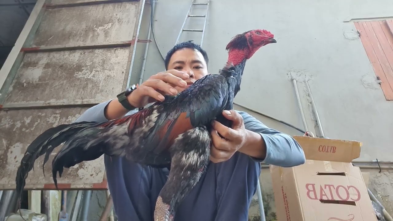 Nhiều điều hay đang chờ các bác nhà mình đấy.