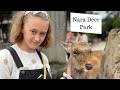 Nara Japan - Deer Park, Temples, Hotel by station