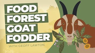 Food Forest Goat Fodder