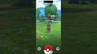 I got shiny Deino! #shinypokemon #pokemongame #pokemongocommunityday #deino #pokemon #pokemongo