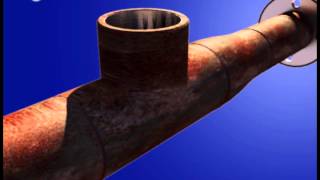 Celebrity Pipe Spool Wealth