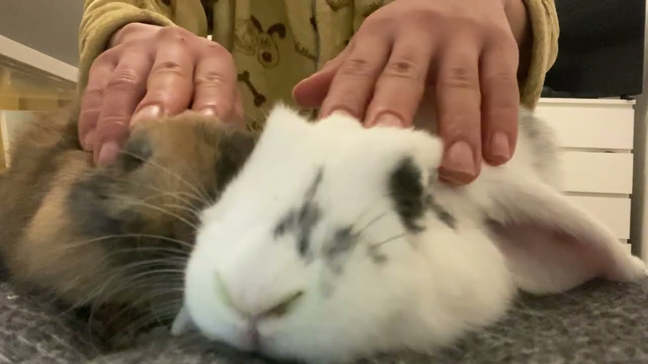 Sir… please don’t move 🥲| ASMR First couple massage