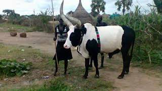 Alier Monydhal Yuang