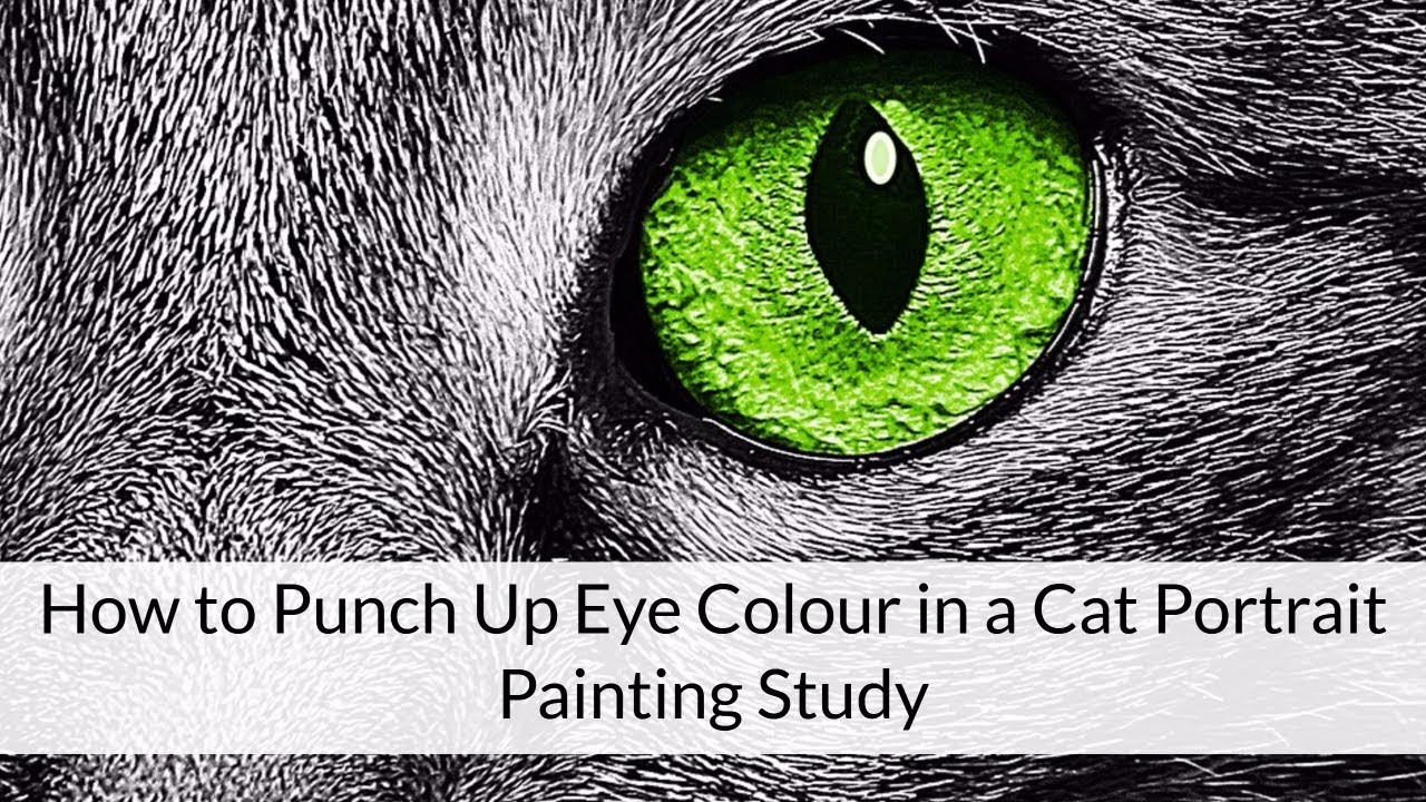 How To Punch Up Eye Colour In A Cat Portrait YouTube how-to-punch-up-eye-colour-in-a-cat-portrait-youtube