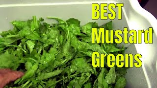 BEST EASY SOUTHERN GREENS | STORING IN THE FREEZER | GARDEN TO TABLE