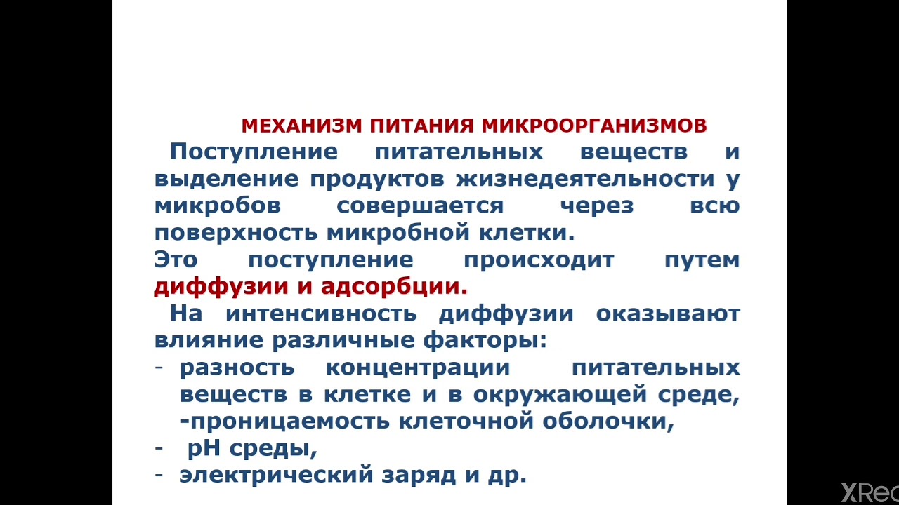 Основы микробиологии лекция. Лекция основы микробиологии. Самостоятельные разделы микробиологии. Микробиологические основы химиотерапии. Лекция основы микробиологии.