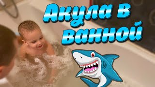 Насыщенные выходные. АКУЛА В ВАННОЙ. Пирожки с повидлом. ОБЗОР ПОКУПОК. Кафе \ Насыщенные выходные. АКУЛА В ВАННОЙ. Пирожки с повидлом. ОБЗОР ПОКУПОК. Кафе \