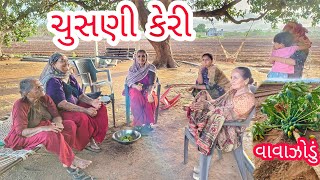 Nuksani Thy | Junagadh thi Meman | JSK Life #348 screenshot 3