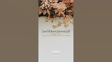 ومن اعرض عن ذكري فإن له معيشة ضنكا قرآن Quran بصوت محمد عبده Photographer قران كريم 