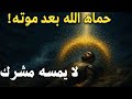 معجزة النحل والسيل قصة الصحابي الذي حماه الله عاصم بن ثابت بن أبي الاقلح