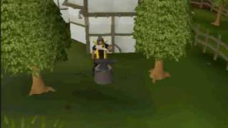 All Skillcapes On RuneScape