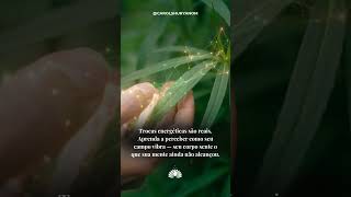 ✨ Trocas energéticas são reais — e acontecem o tempo todo.