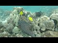 Middle of video