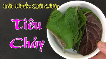 Cách chữa tiêu chảy tại nhà nhanh nhất và an toàn bằng 1 nắm lá mơ ( bệnh tiêu chảy )