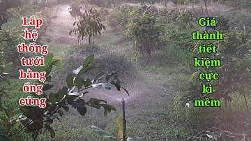 Thi công lắp đặt hệ thống tưới bằng ống cứng sử dụng béc BB 300 lít, nước lên cực kì mạnh