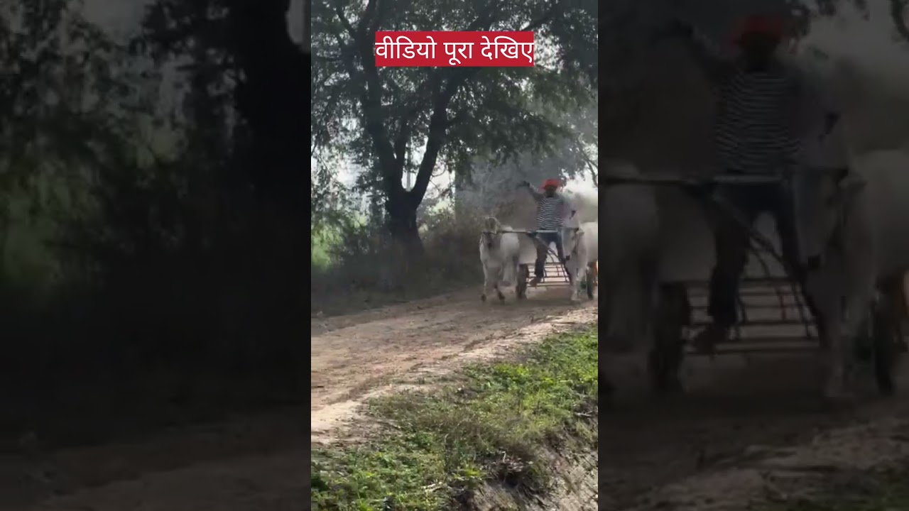 भारत में पहली बार 🥰 