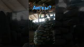 ыыдр ыдоаыф ждрвы ыбоыу ызшаы хвшныс ыэпв ыщшрч ызлпс ыдо Coolarxxe  ылнарп Backrooms? фоне язлпая ы