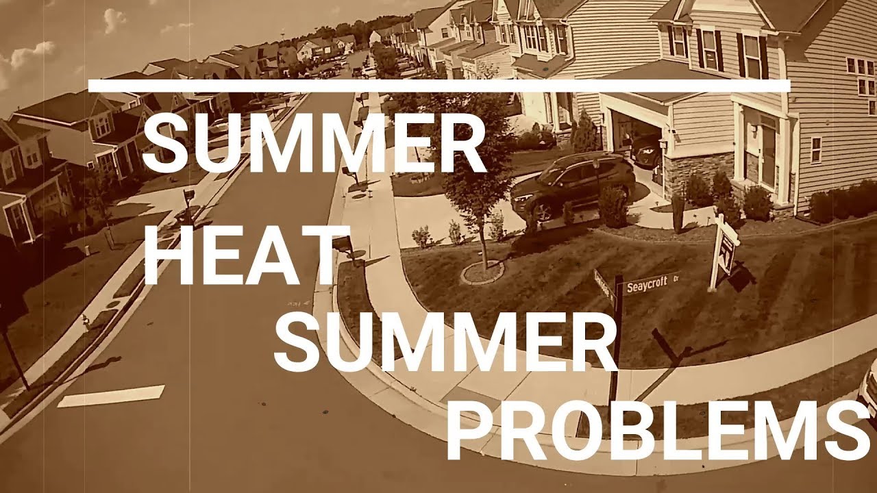 Summer heat stress in the lawn