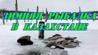 Зимняя рыбалка в Казахстане.