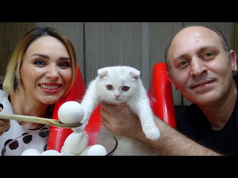 Prenses Lina'nın Kedisi nin İsmini Koyuyoruz | Yumurta Challenge Rukiye Çetinkaya