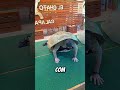 #giveaway