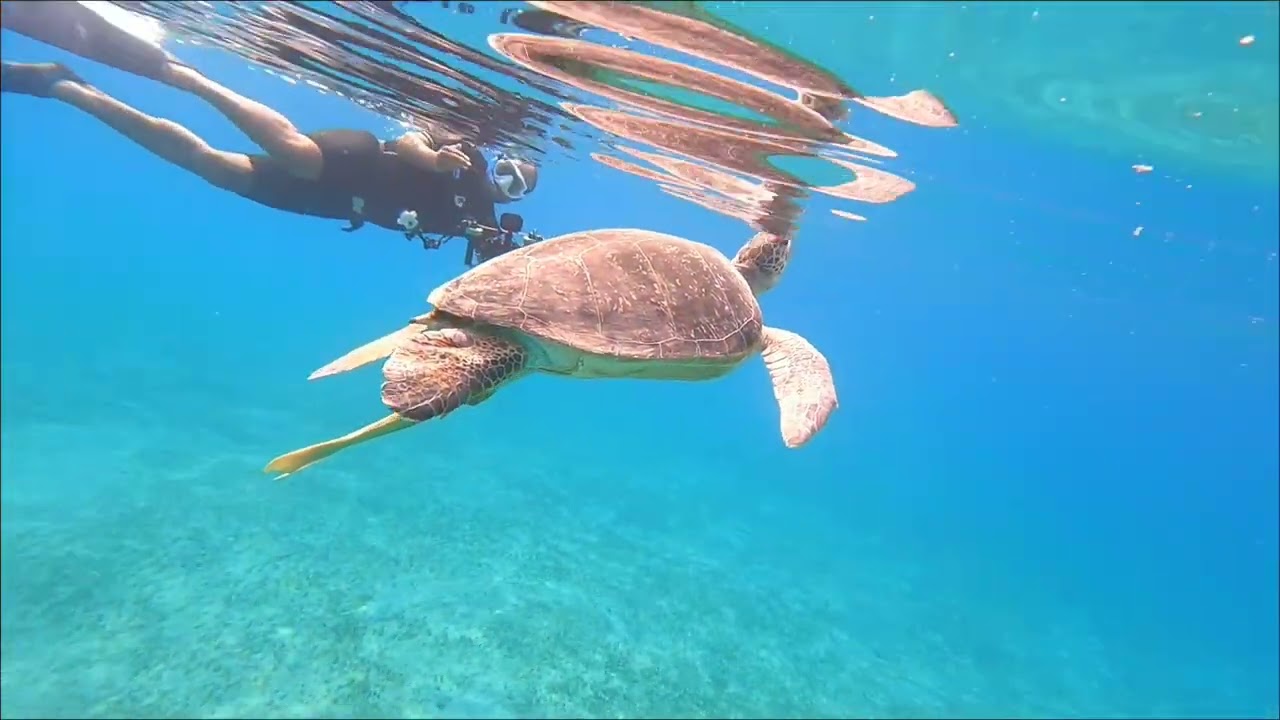 Marsa Alam 2025 Coraya bay and around