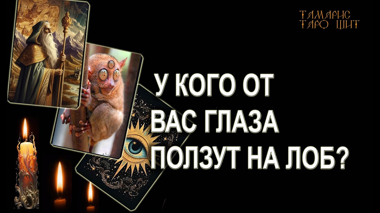 Тамарис таро щит последние расклады