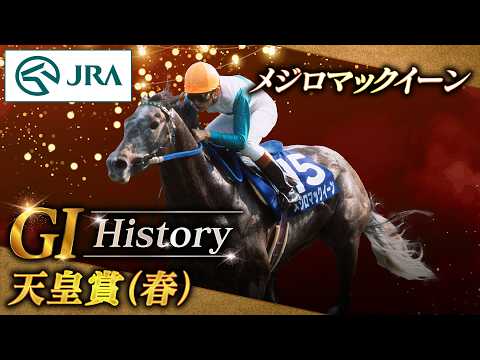 メジロマックイーン 単勝馬券2枚セット 有馬記念 天皇賞 2026年最新