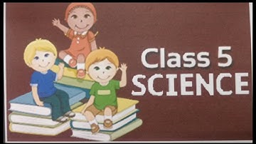 5th std Science Ln-2 Fibres