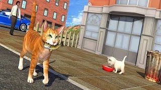 Street Cat Sim 2016 - Android Gameplay HD screenshot 5