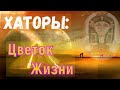 Хаторы: Цветок Жизни