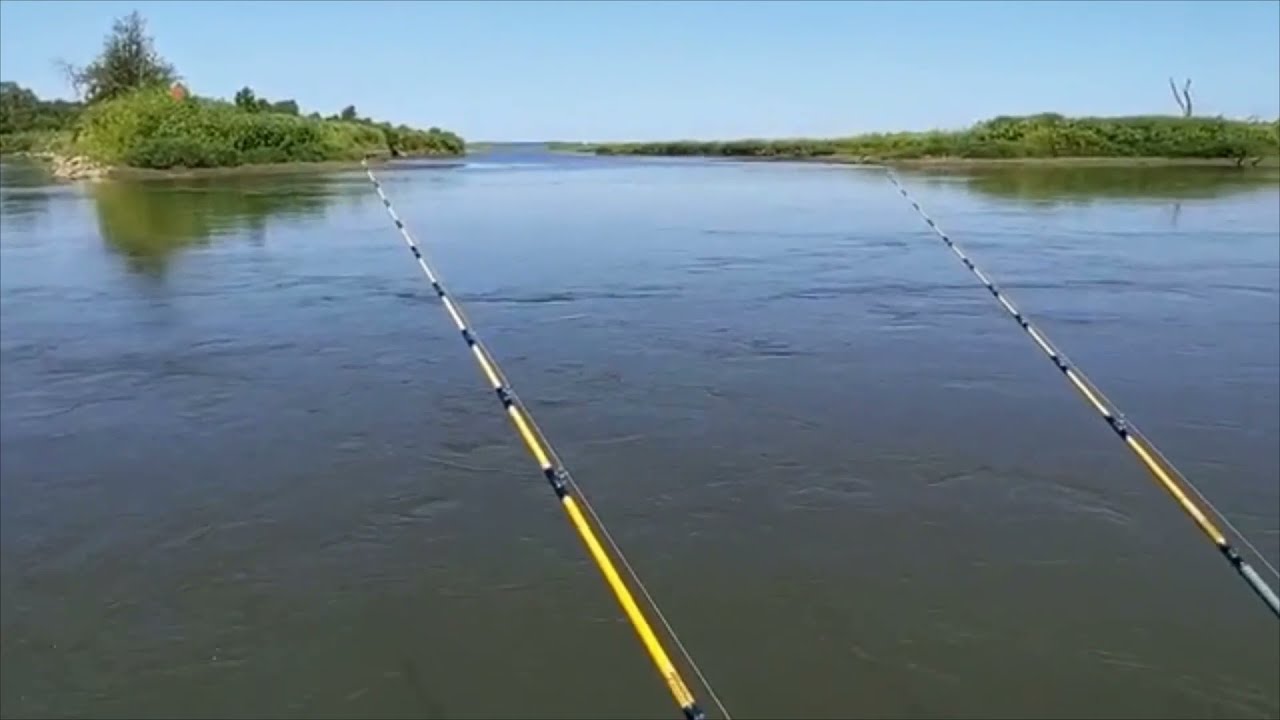 MondoCat Fishing for Catfish on the Missouri River YouTube
