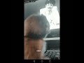 باري بدو يحمم دردبج ب تايد الحقوه