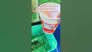 Hướng dẫn xử lý khi cứu cá cảnh bị sốc nước - Nuôi cá dưỡng tâm