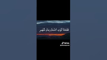 فدعا ربه اني مغلوب فانتصر #الشيخ عبد الباسط عبد الصمد 💙#قناه نور القرآن الكريم 🎧💙