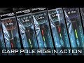 Drennan carp pole rigs in action