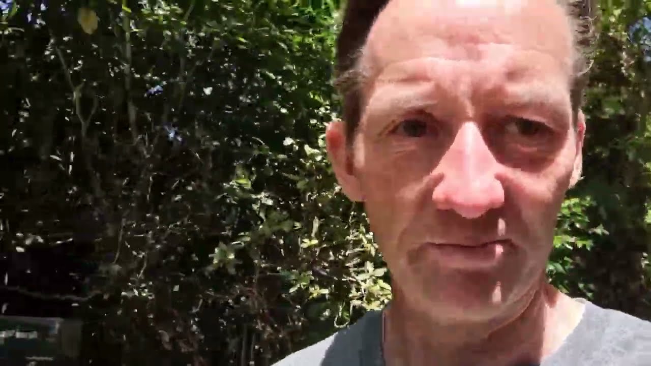 Darran the Dogmans Training Tips - Maggie and Bridges: Helping Your Dog Balance Fear and Confidence