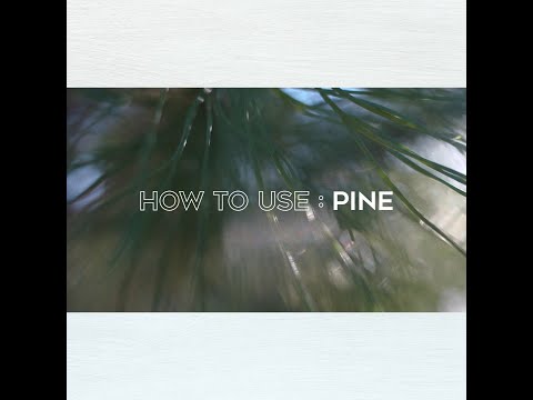 HOW TO USE : PINE