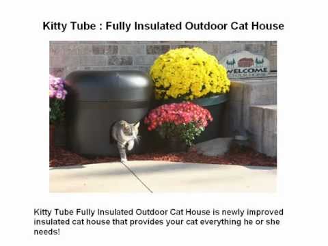 Kitty tub Kitty tub