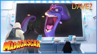 DreamWorks Madagascar  | You're On Mute 🔇  |  Penguins of Madagascar Clip