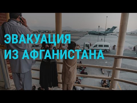 Условие "Талибана", предложение Зеленского, обещание Путина | ГЛАВНОЕ | 23.08.21