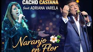 CACHO CASTAÑA & ADRIANA VARELA 🔥 Naranjo en Flor (TANGO QUE DUELE 💔)